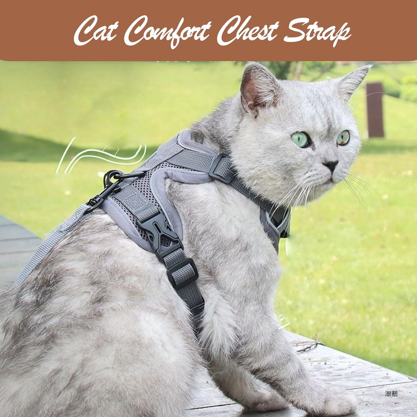 Cat Harness and Leash Set Katzengeschirr mit Leine Set Weste Katzenleine, Kleine Haustiere Leine mit Reflektierstreifen, Verstellbarer Anti-Fall-Katzenbrustgurt Atmungsaktiver